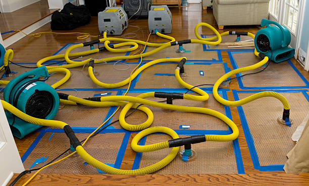 Professional Sewage Cleanup technician working in California, KY